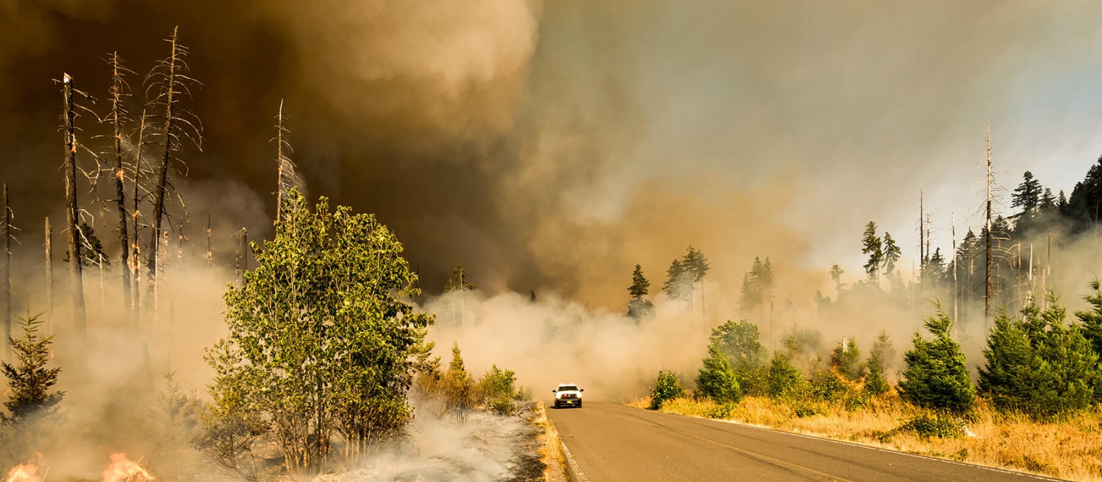 Disaster Relief cause image
