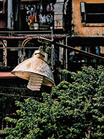 Poverty & Hunger category thumbnail